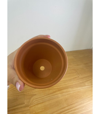 Pot de fleurs